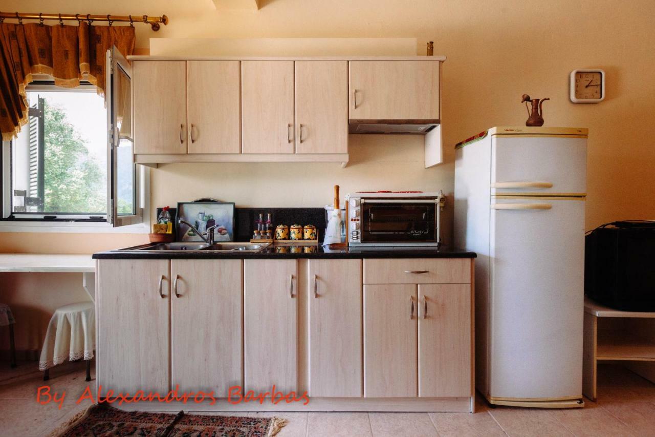 Bourikos House Corfu Apartment Áno Korakiána Екстериор снимка