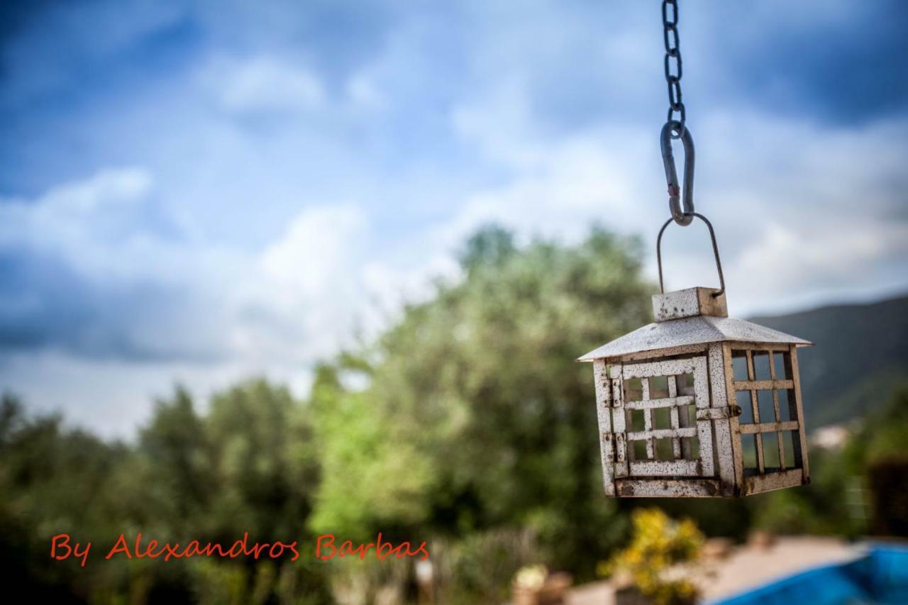 Bourikos House Corfu Apartment Áno Korakiána Екстериор снимка